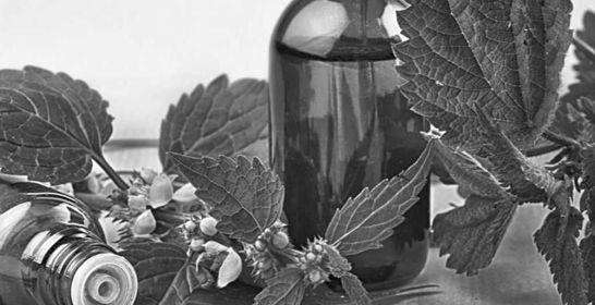 170606_whitehead_institute_flrf.jpg 170606_whitehead_institute_flrf.jpg